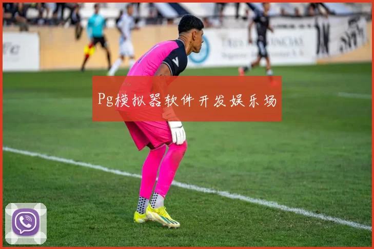 Pg模拟器软件开发娱乐场