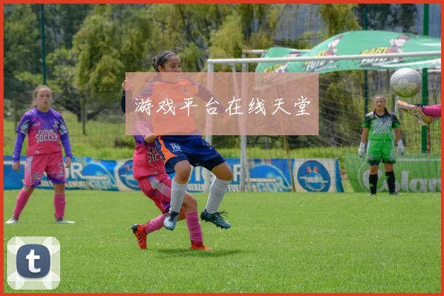 游戏平台在线天堂