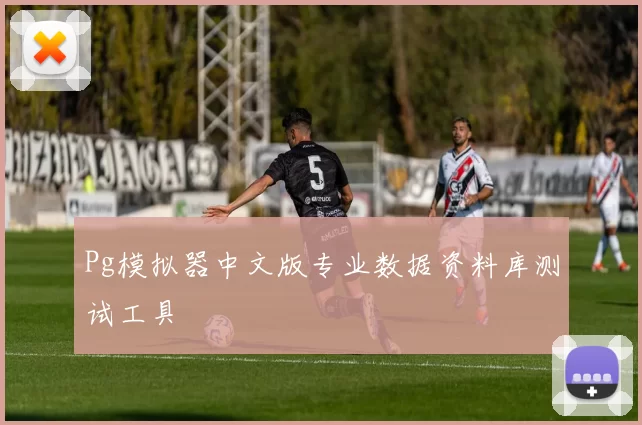 Pg模拟器中文版专业数据资料库测试工具