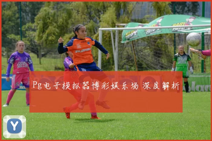 Pg电子模拟器博彩娱乐场 深度解析