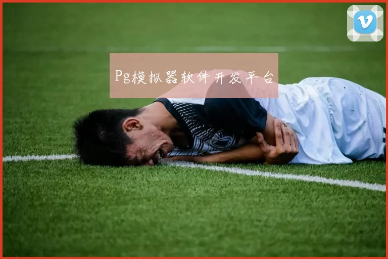 Pg模拟器软件开发平台