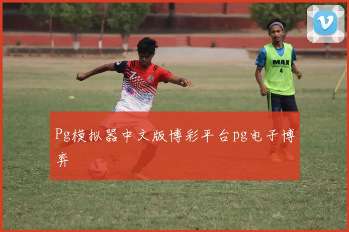 Pg模拟器中文版博彩平台pg电子博弈