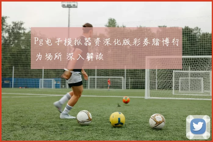 Pg电子模拟器资深化版彩券赌博行为场所 深入解读