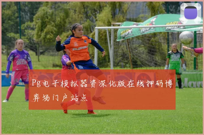 Pg电子模拟器资深化版在线押码博弈场门户站点