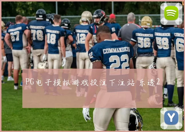 PG电子模拟游戏投注下注站 乐透2